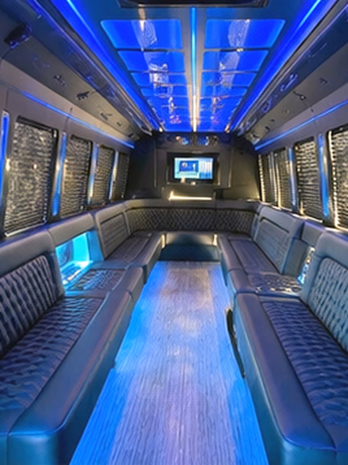 25 passenger party bus interior